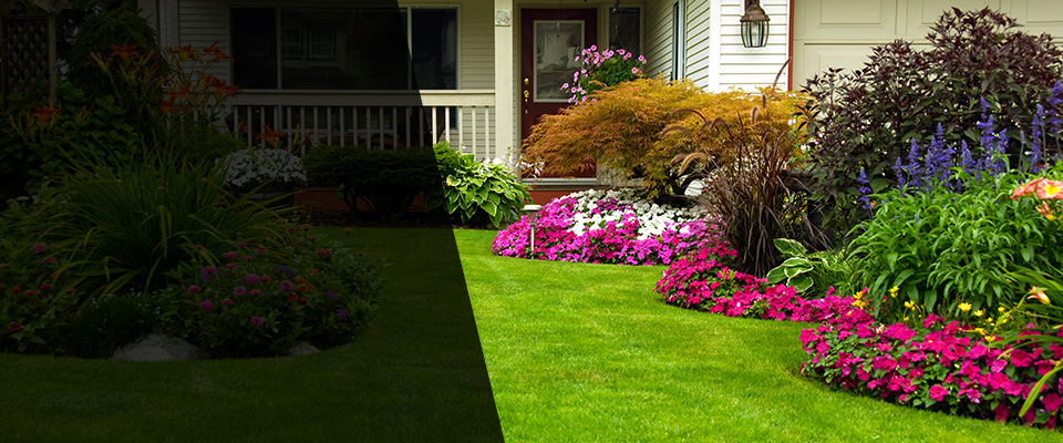Hendersonville Landscapers